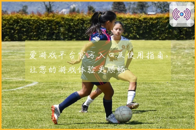 爱游戏平台官方入口及使用指南，让您的游戏体验更顺畅